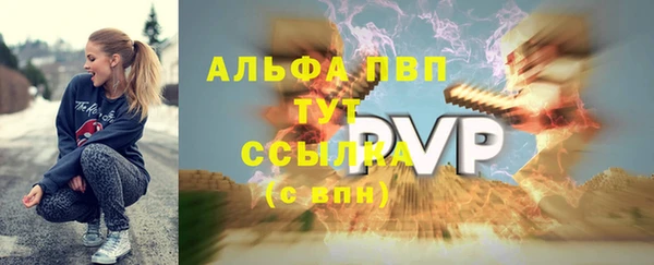 индика Алексин