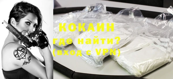 индика Алексин