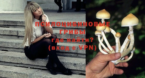 герыч Алзамай