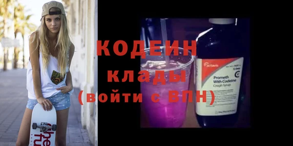 индика Алексин