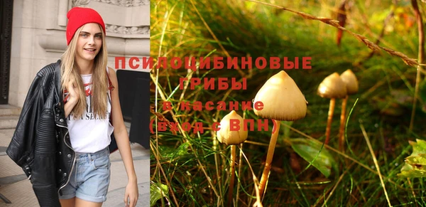 индика Алексин