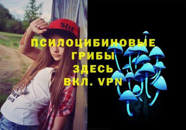 герыч Алзамай