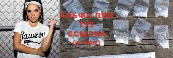 индика Алексин