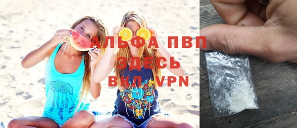 индика Алексин