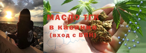 индика Алексин