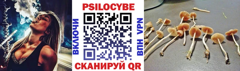 Галлюциногенные грибы Cubensis  Кондопога 