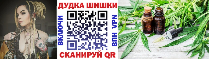 где можно купить наркотик  Кондопога  Каннабис планчик 